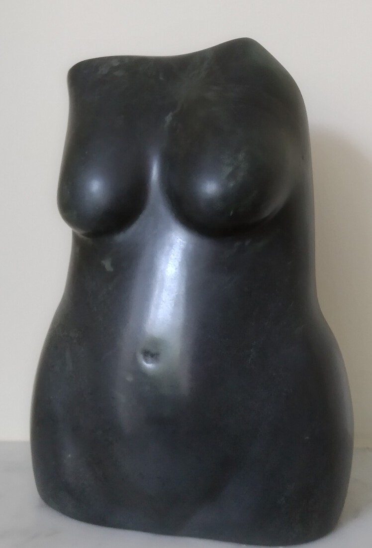 torso