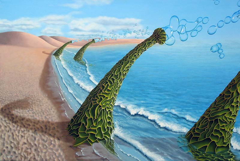 AGARICIA BULLIO (verkocht)