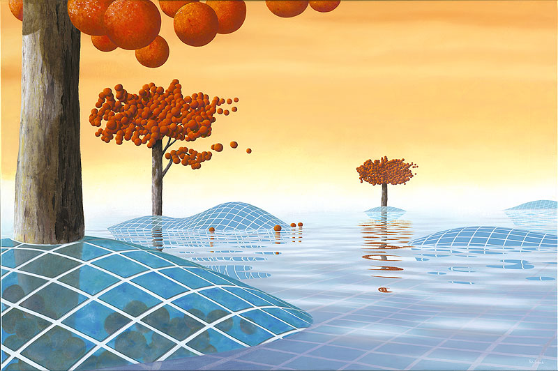 ROBINIA NATATALIS (verkocht)