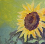 Bloemen die mij hebben geinspireerd.