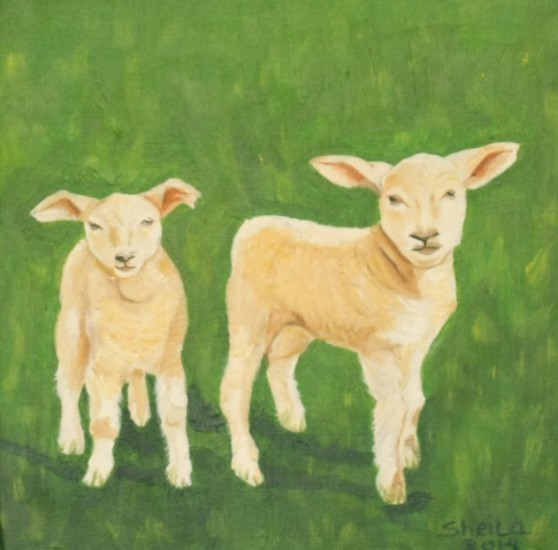 Lammetjes