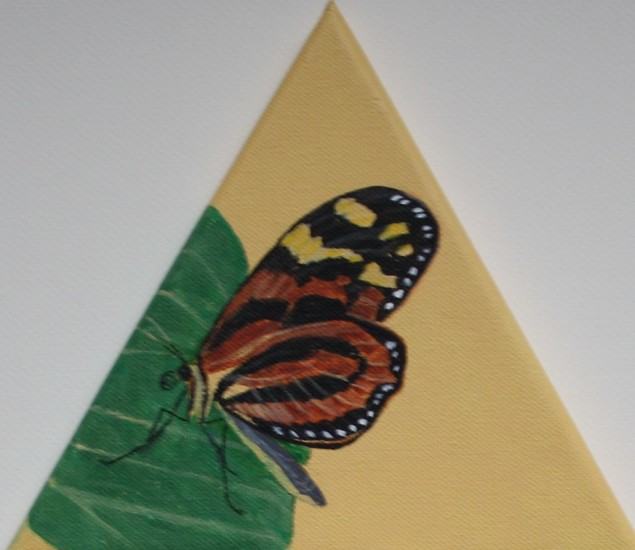 Exotische vlinder