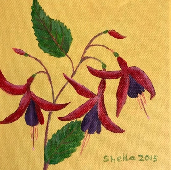 Fuchsia