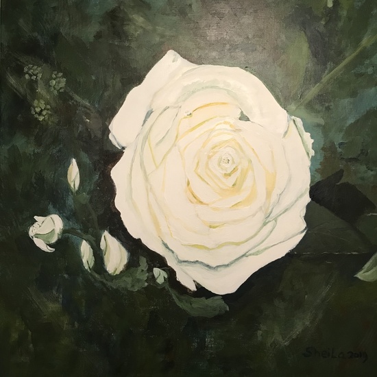 Witte Roos