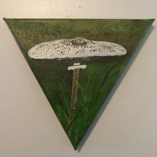 Parasol zwam