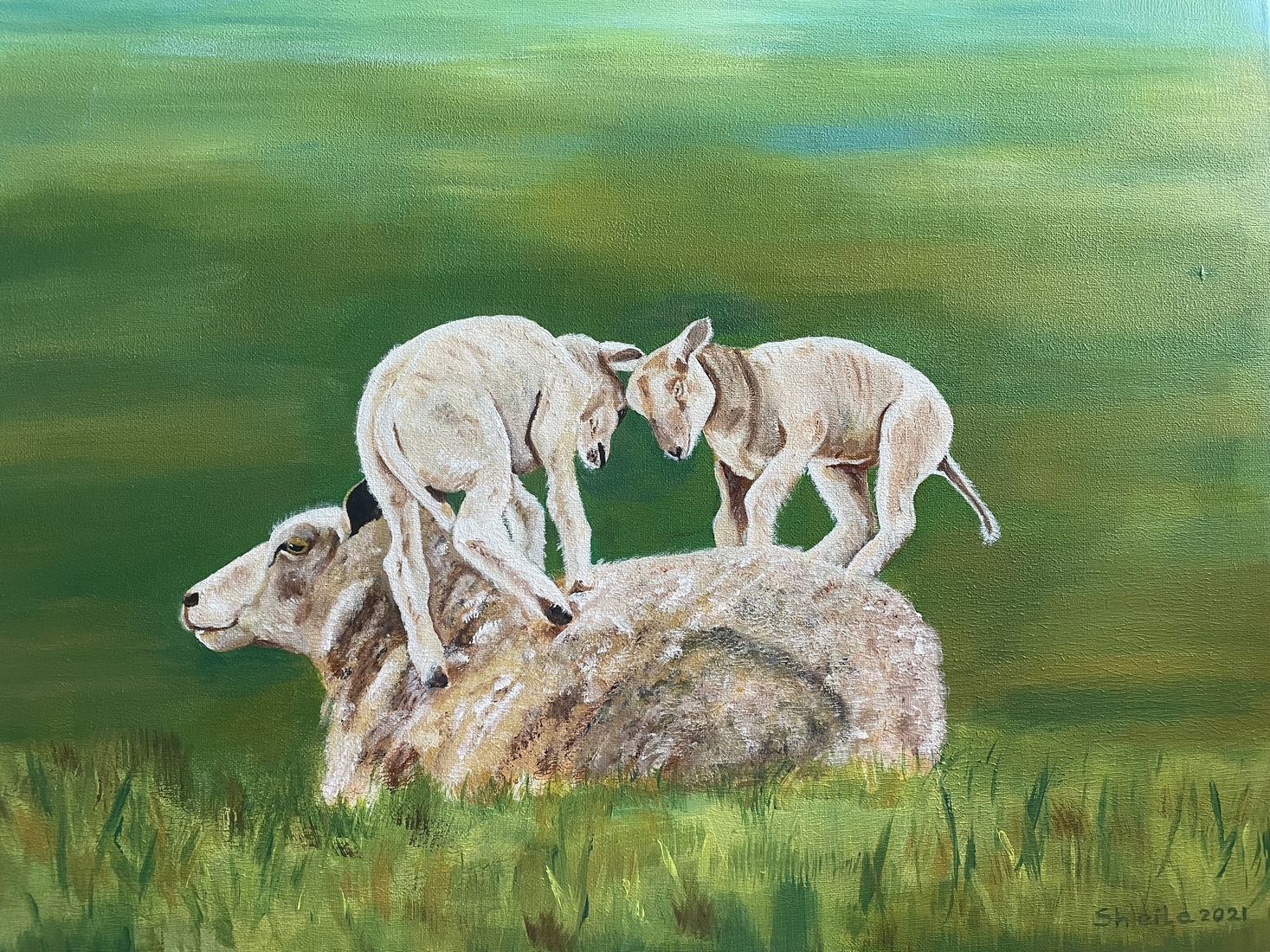 Schaap met 2 lammetjes