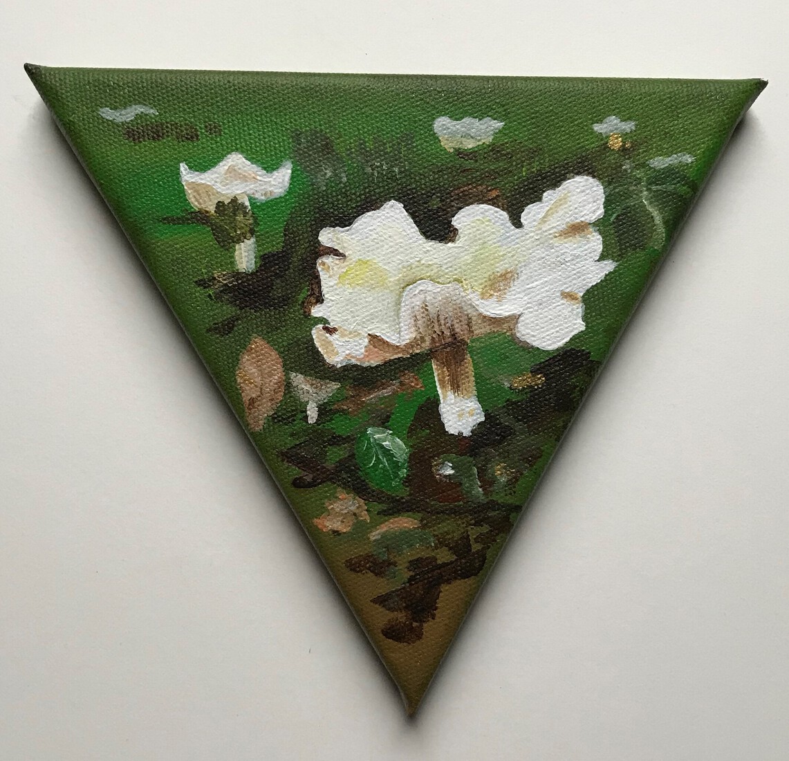 Witte paddenstoelen 