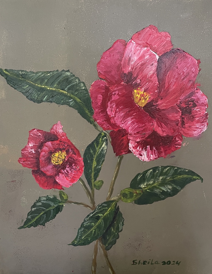 Camelia