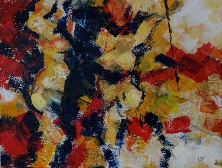 z.t. afrika impressie 1