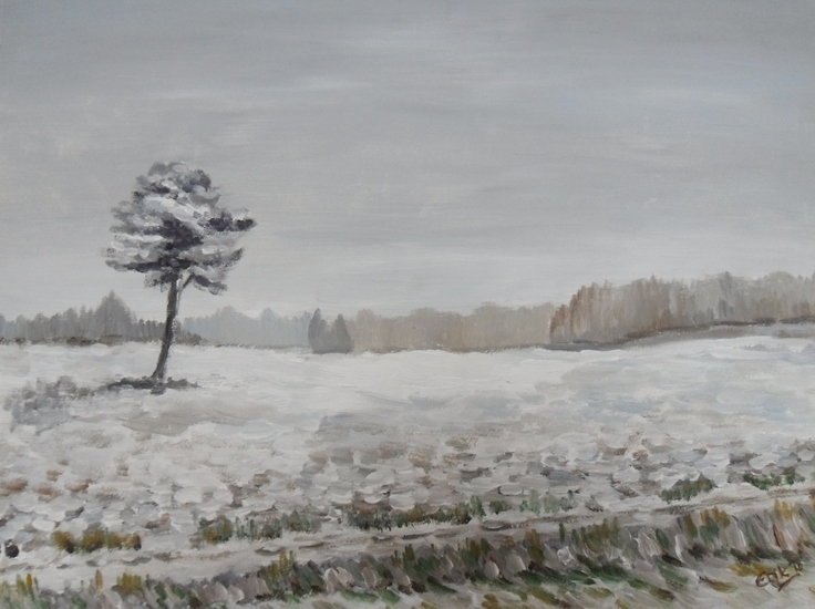 Winter in de Achterhoek