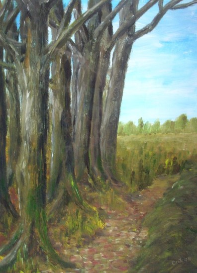 Beukenbos in herfsttooi