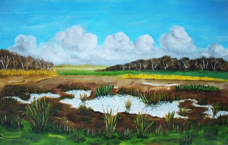 Takkenhoogte nabij Zuidwolde (Drenthe)