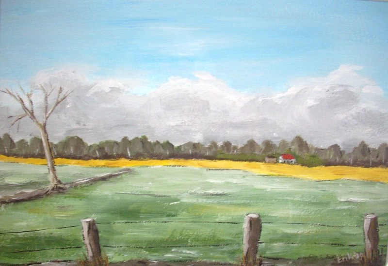 Landschap bij Fort (Drenthe)