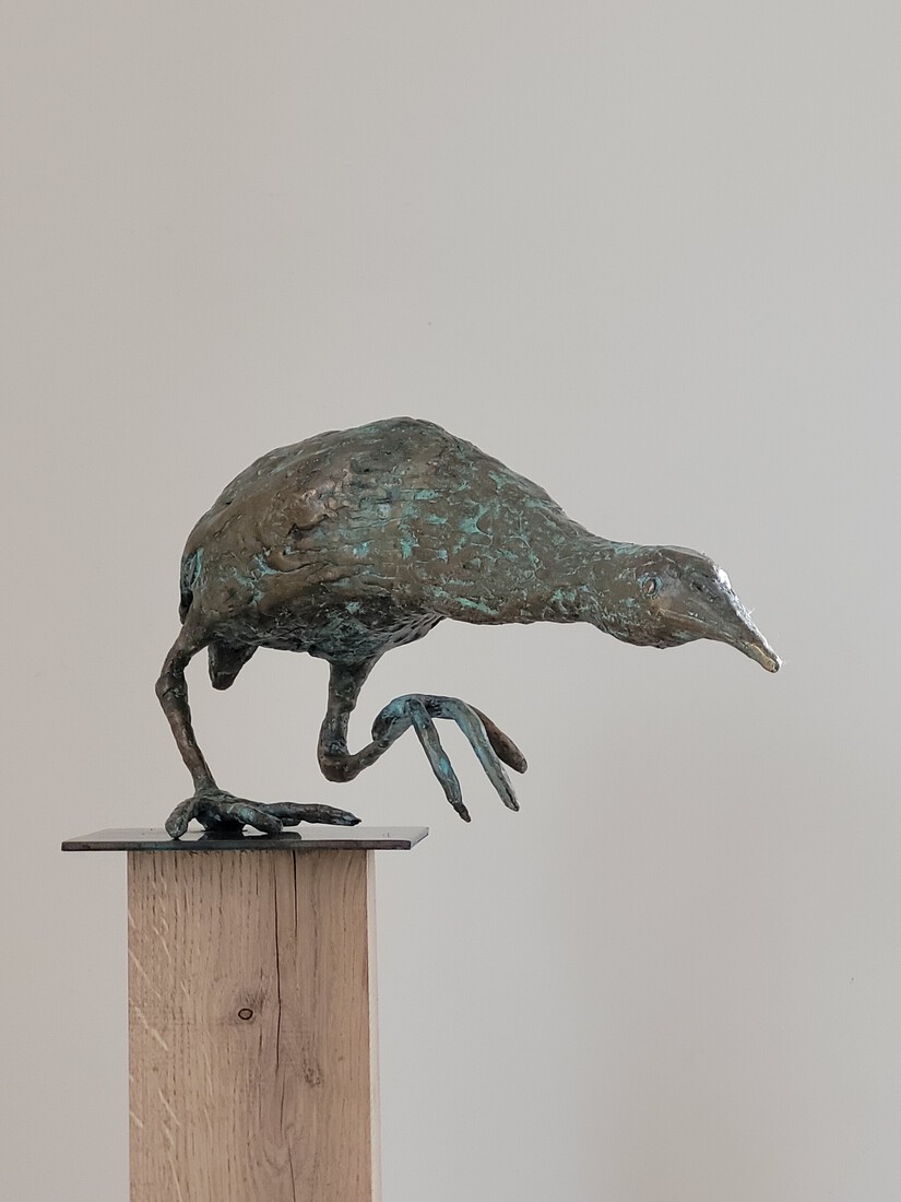 Roerdomp in jaaghouding