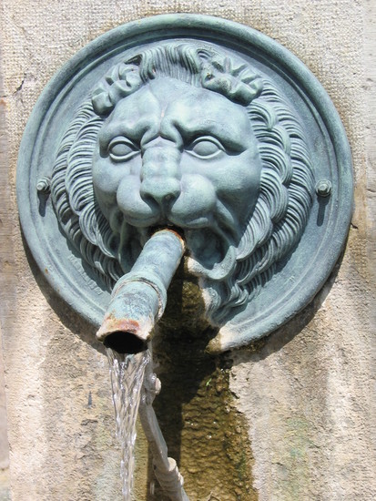 provencaalse leeuw