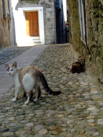 Cannobio3