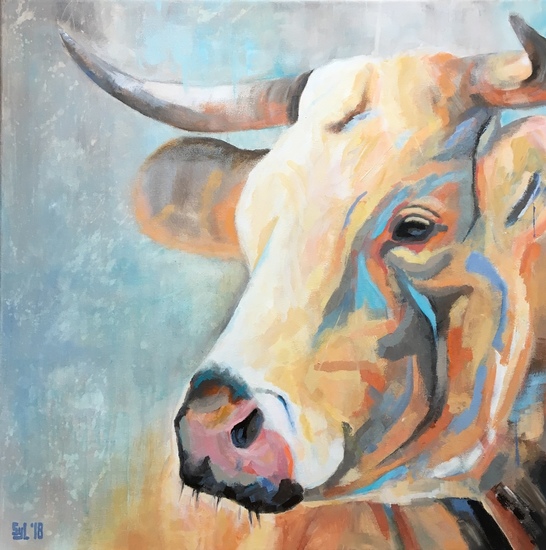 Limousin koe