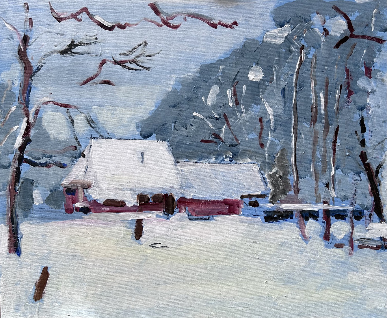 Ootmarsum in de winter