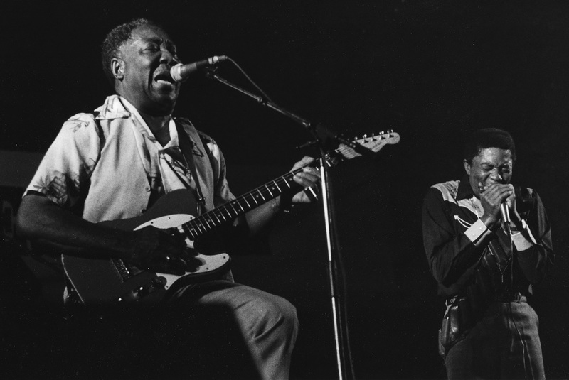 Muddy Waters op het North Sea Jazz Festival 1981