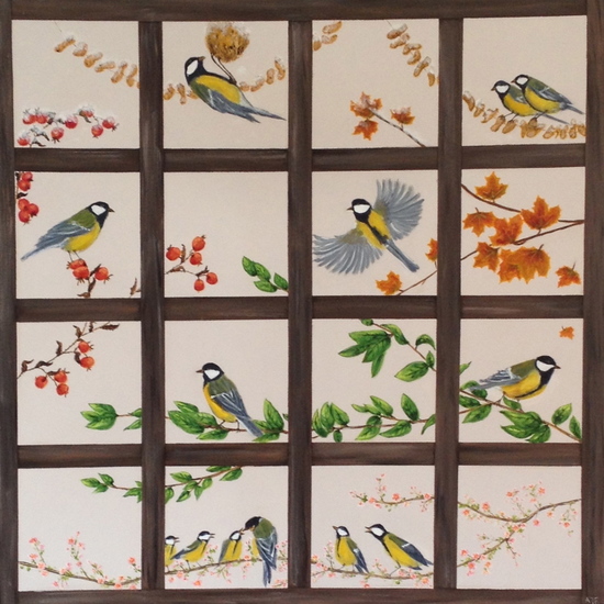 Koolmezen in 4 seizoenen