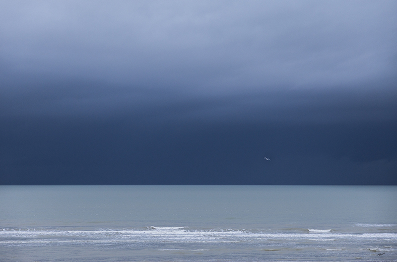 LONELY SEAGULL (Marco Titucci)