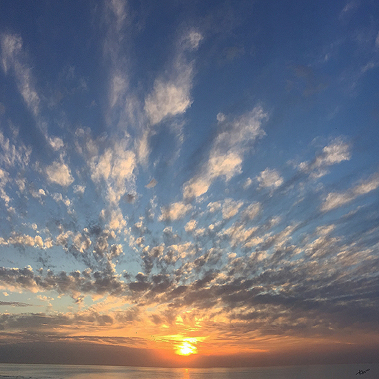 PLANET EARTH (Marco Titucci)