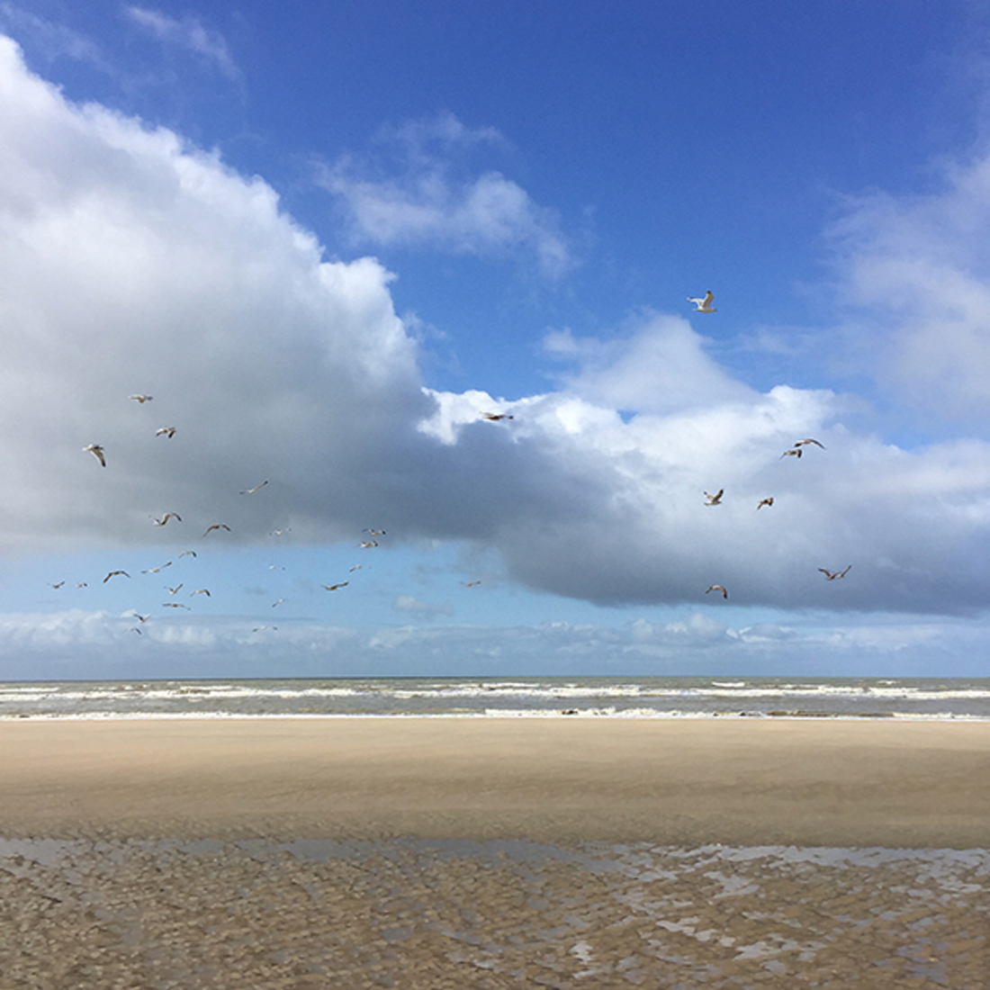 QUARANTAIN MEMORY 2020 (Marco Titucci)