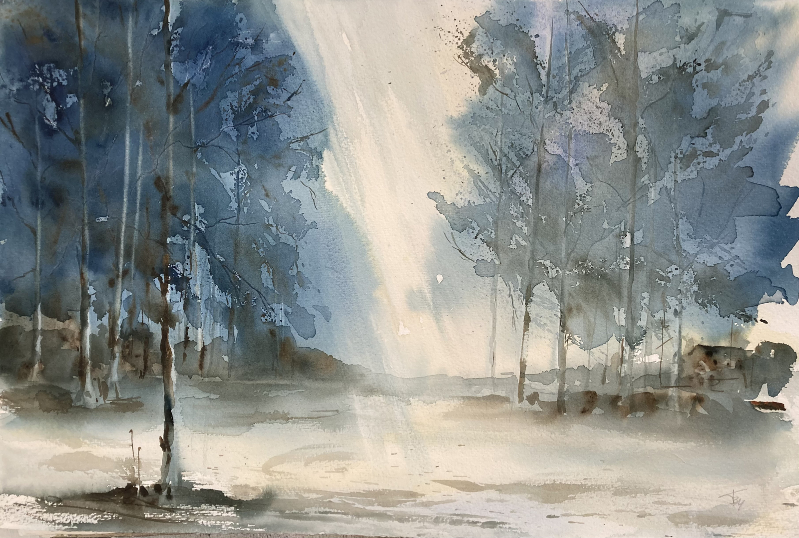 FOREST (Tazio Bernmonti)