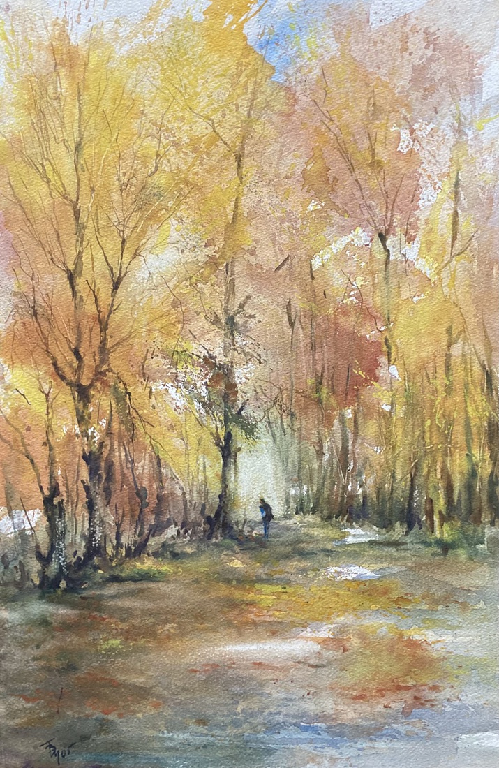 WALK (Tazio Bernmonti)