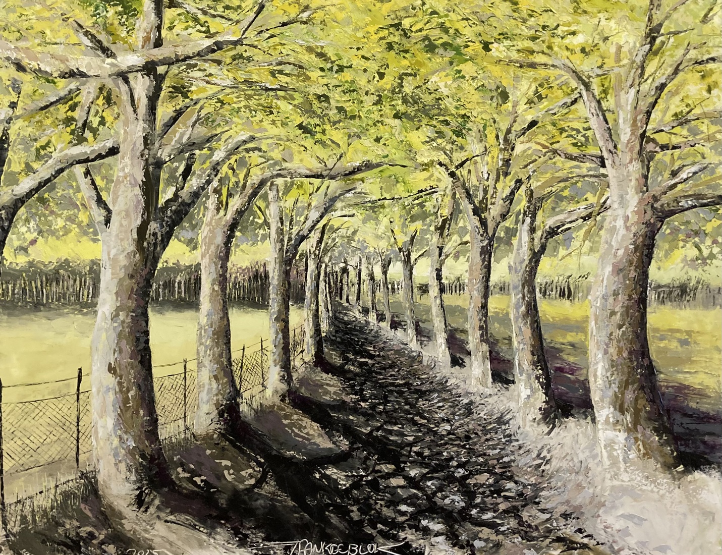 Allée bordée de platanes