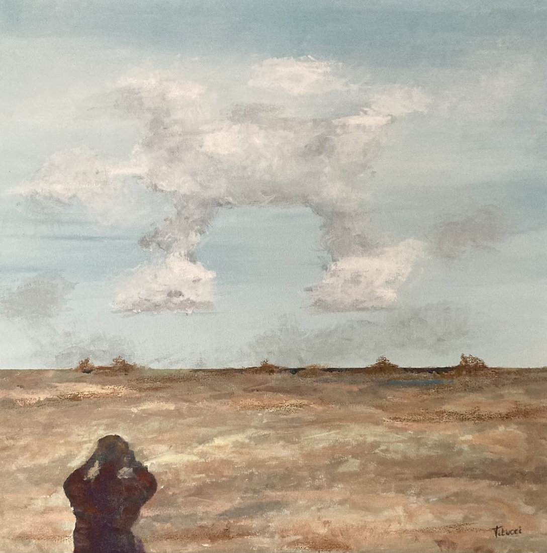 De Hoge Blekker (de man die de wolken bestudeert)