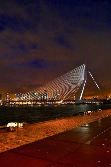 Erasmus Bridge by night Rotterdam