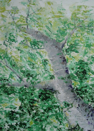 Omhoog kijken bij de berk