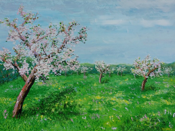 Boomgaard in de lente