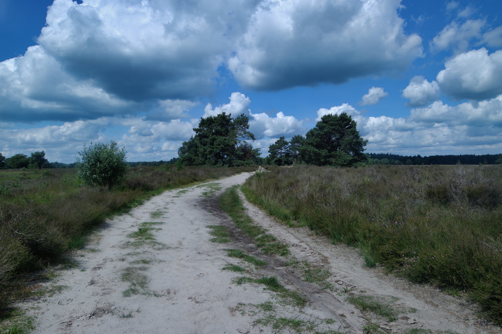 De Landschotse Heide