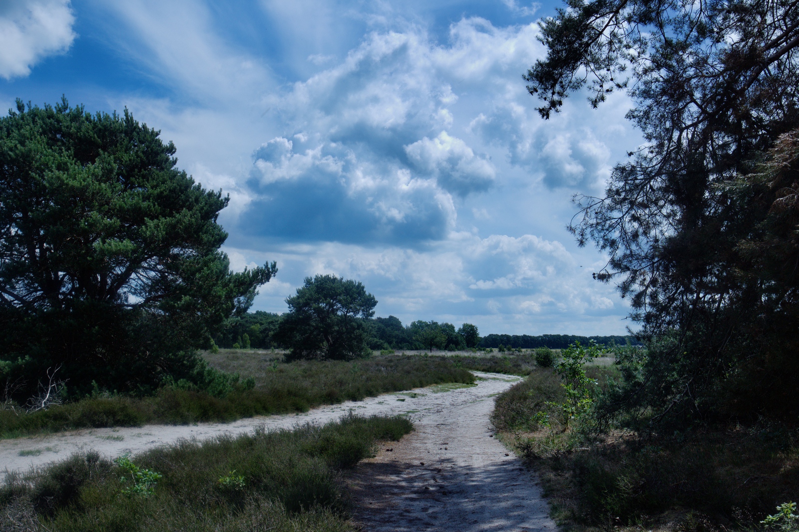 De Landschotse Heide