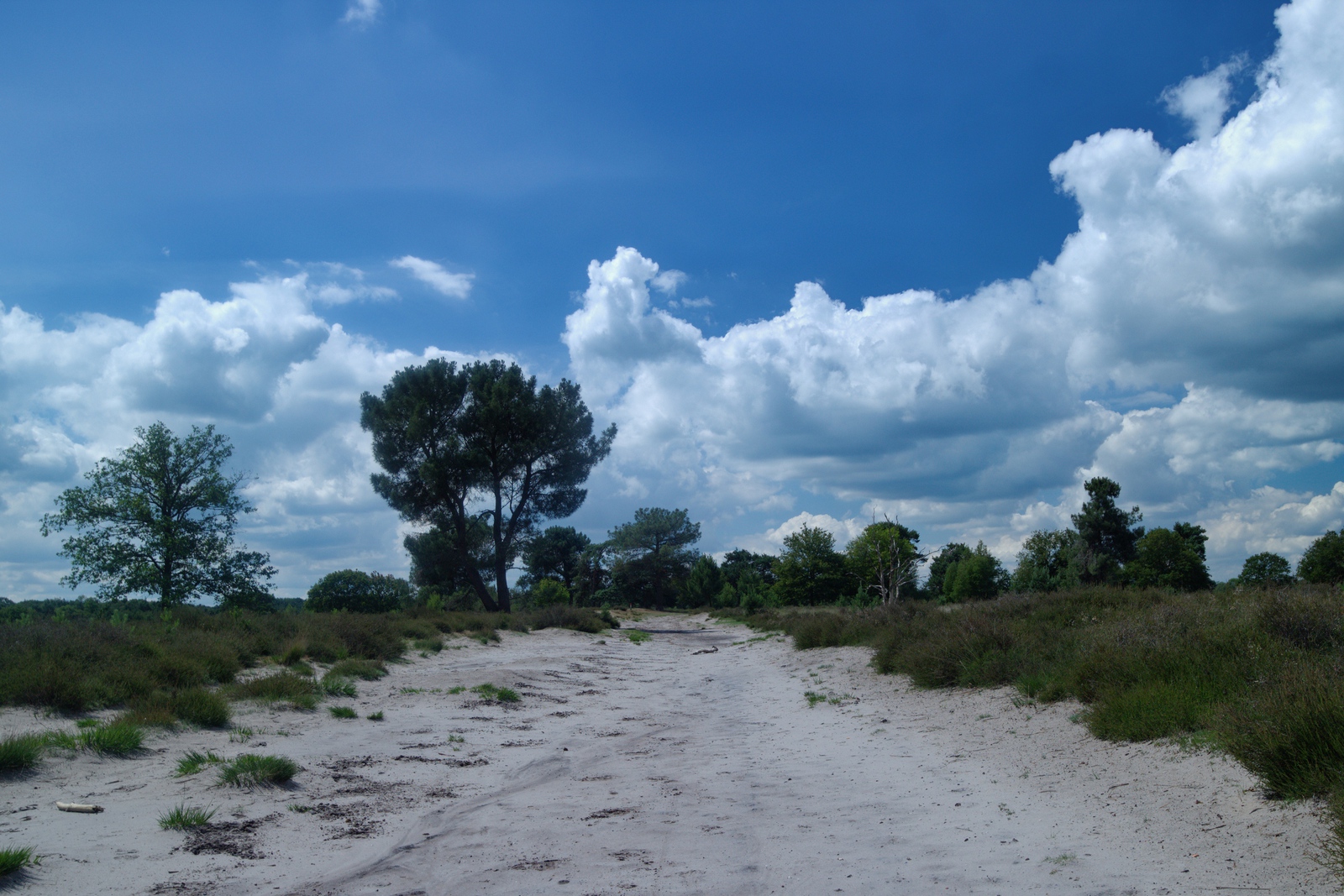 De Landschotse Heide