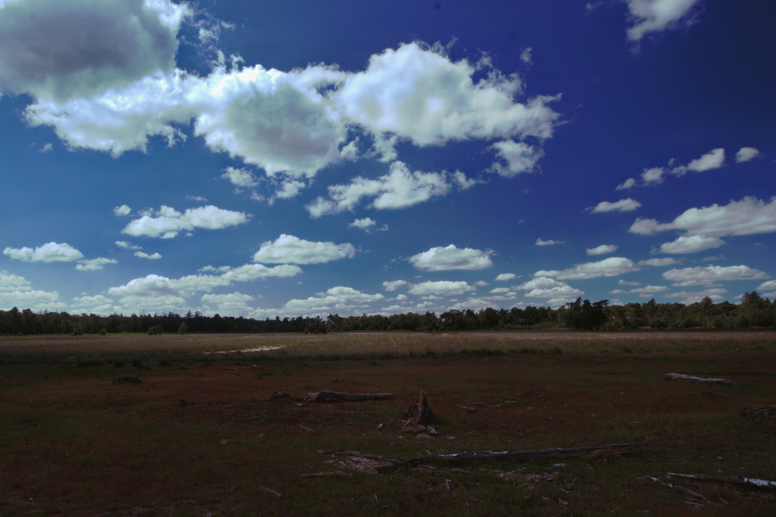 De Strabrechtse Heide