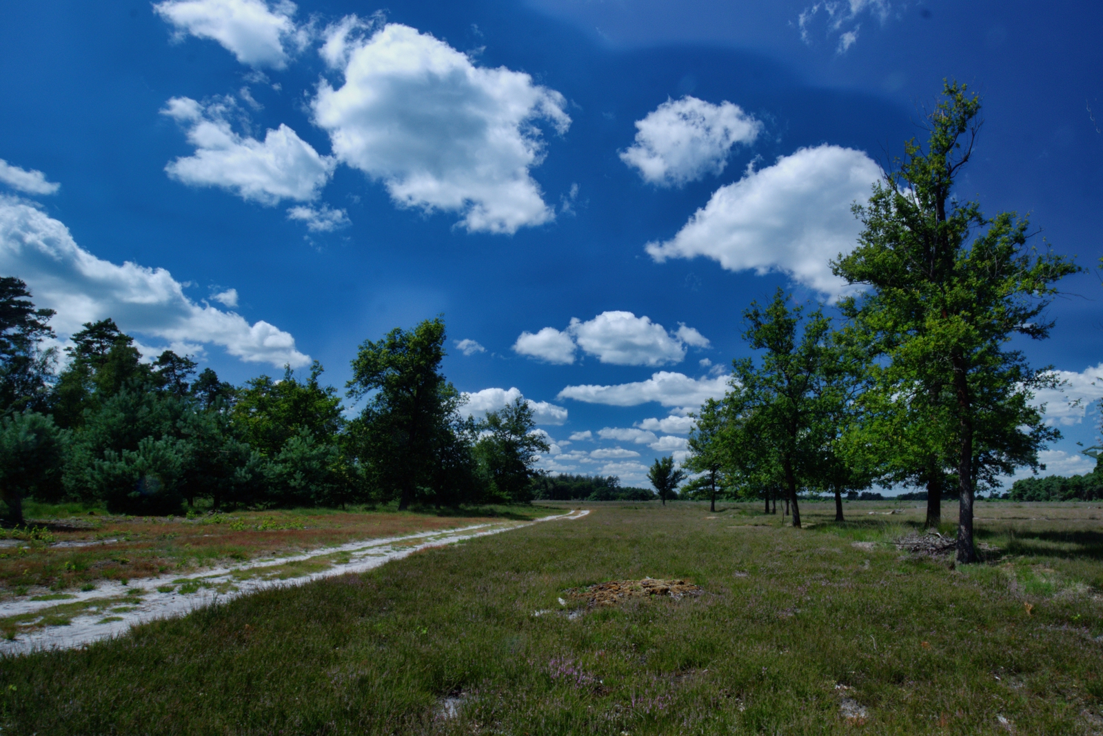 De Strabrechtse Heide