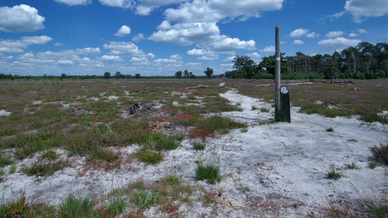 De Strabrechtse Heide