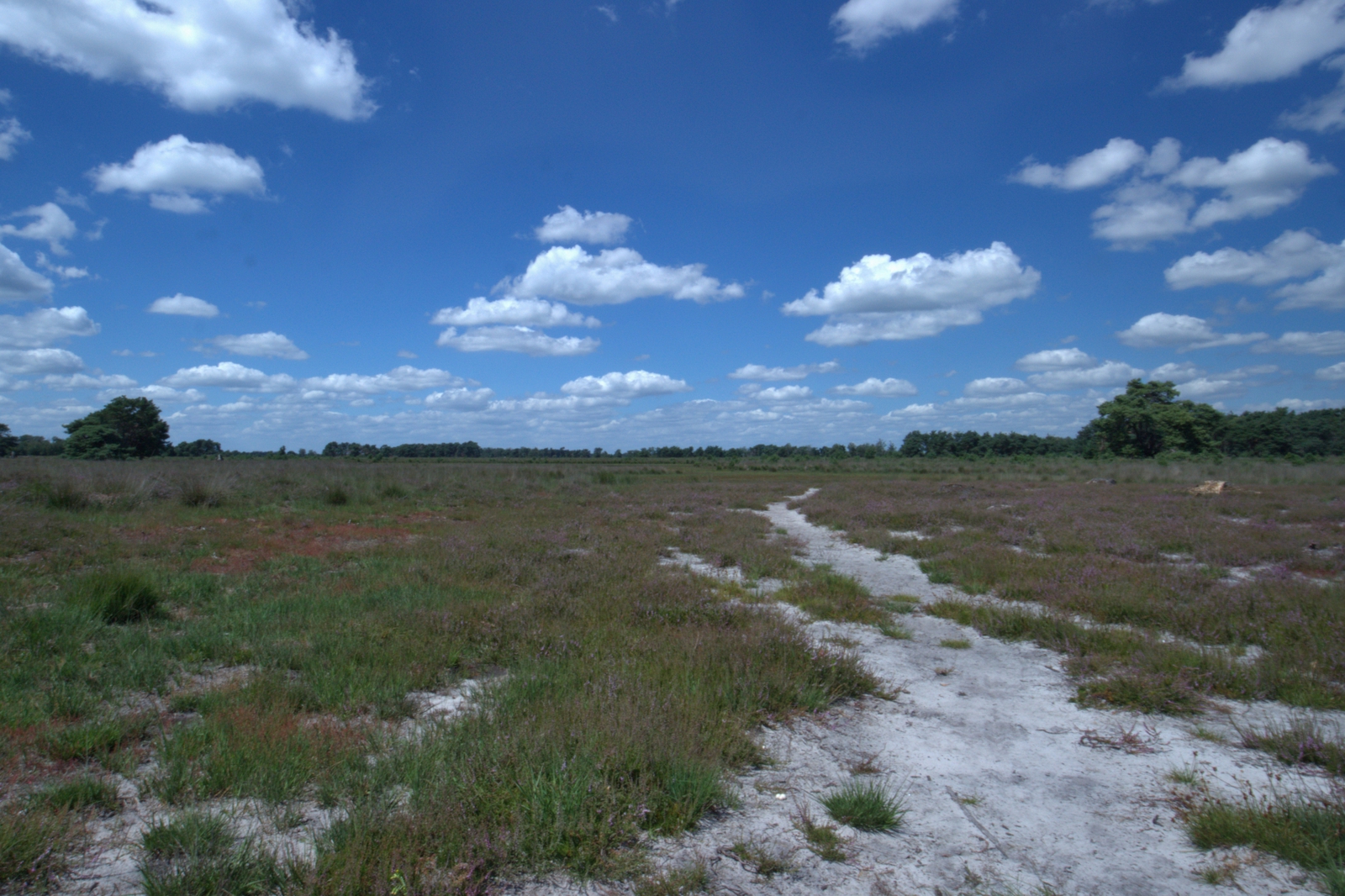 De Strabrechtse Heide