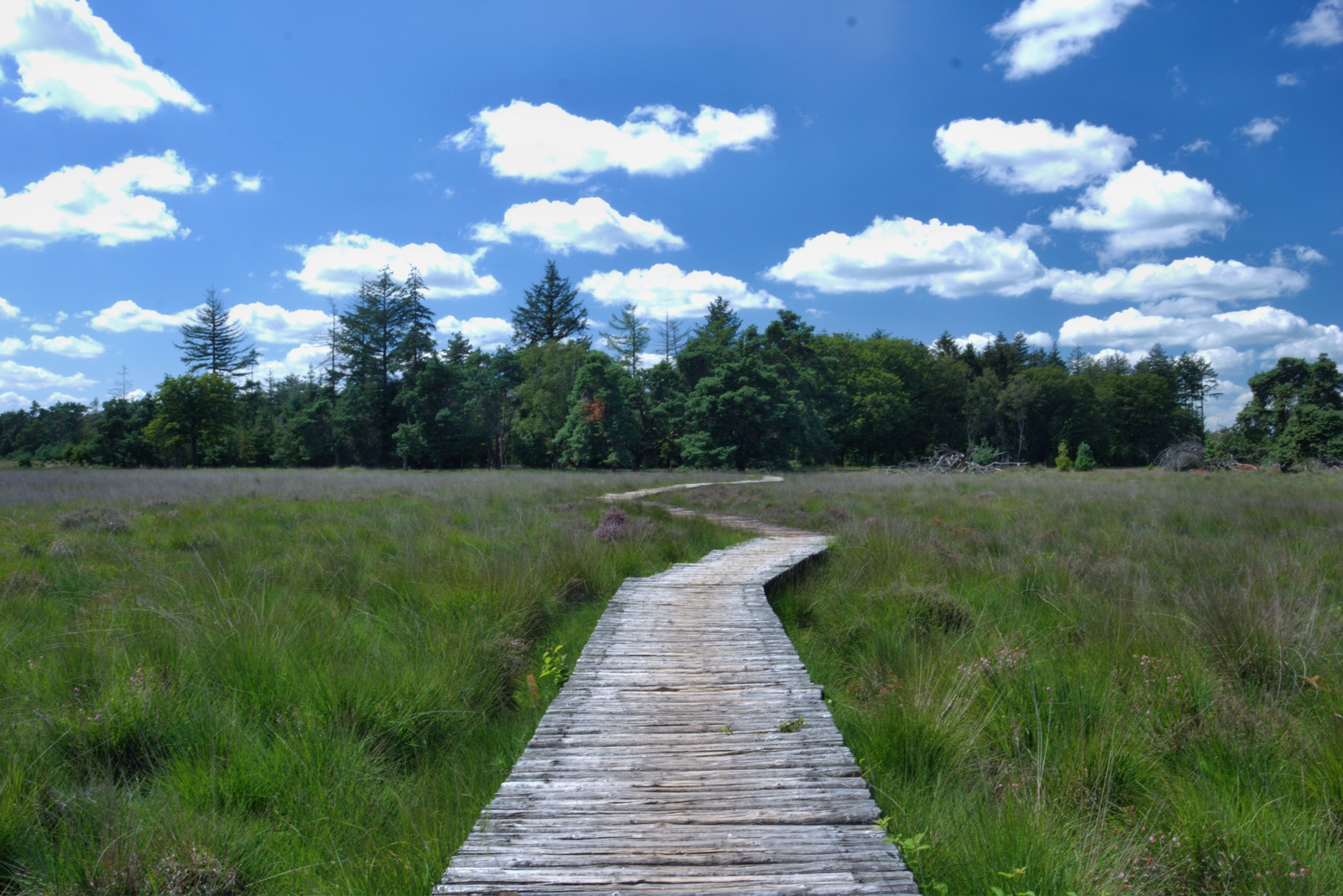 De Strabrechtse Heide