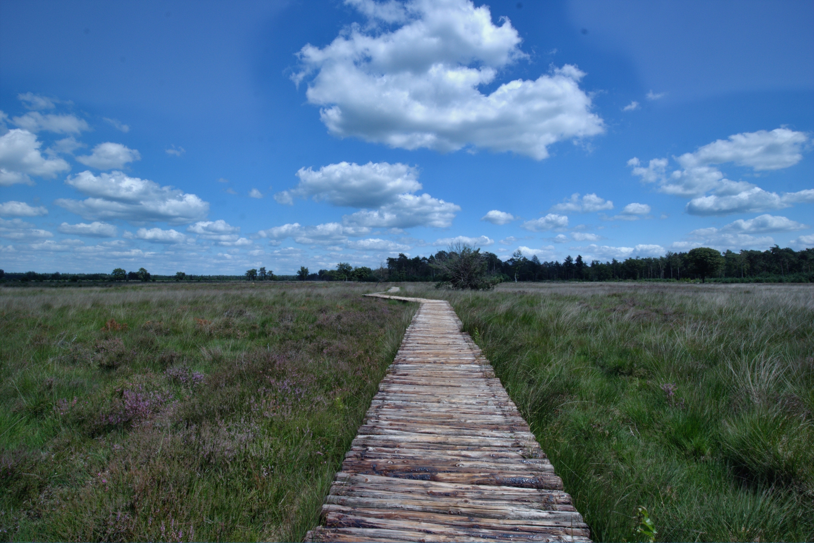 De Strabrechtse Heide