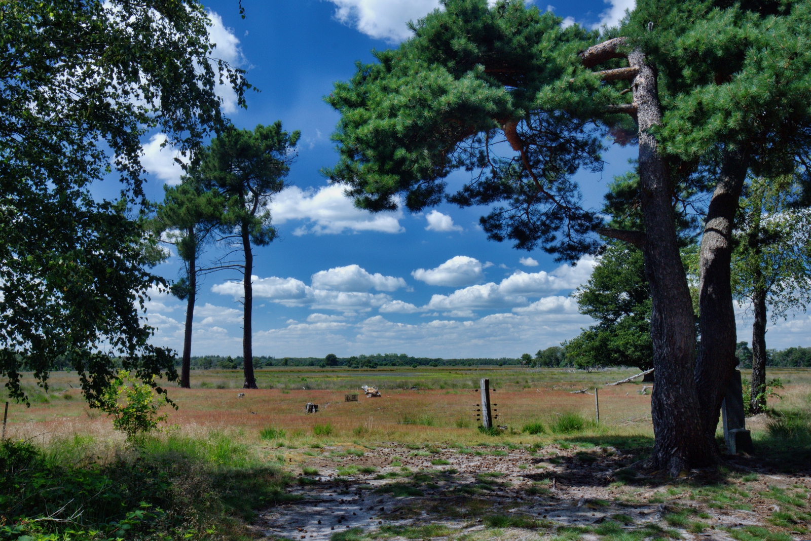 De Strabrechtse Heide