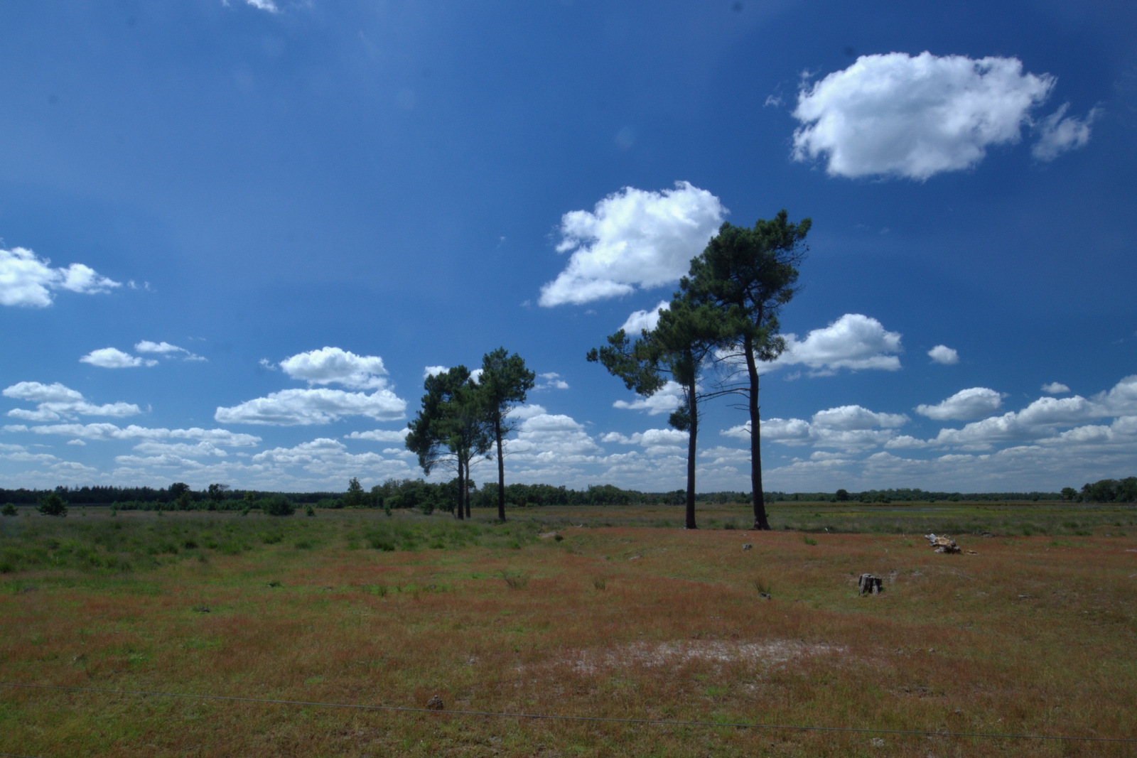 De Strabrechtse Heide