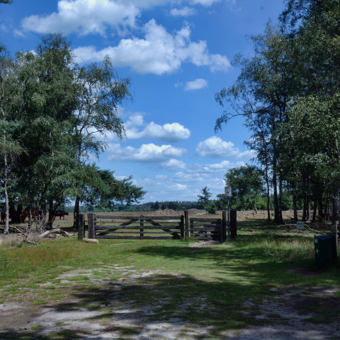 De Strabrechtse Heide