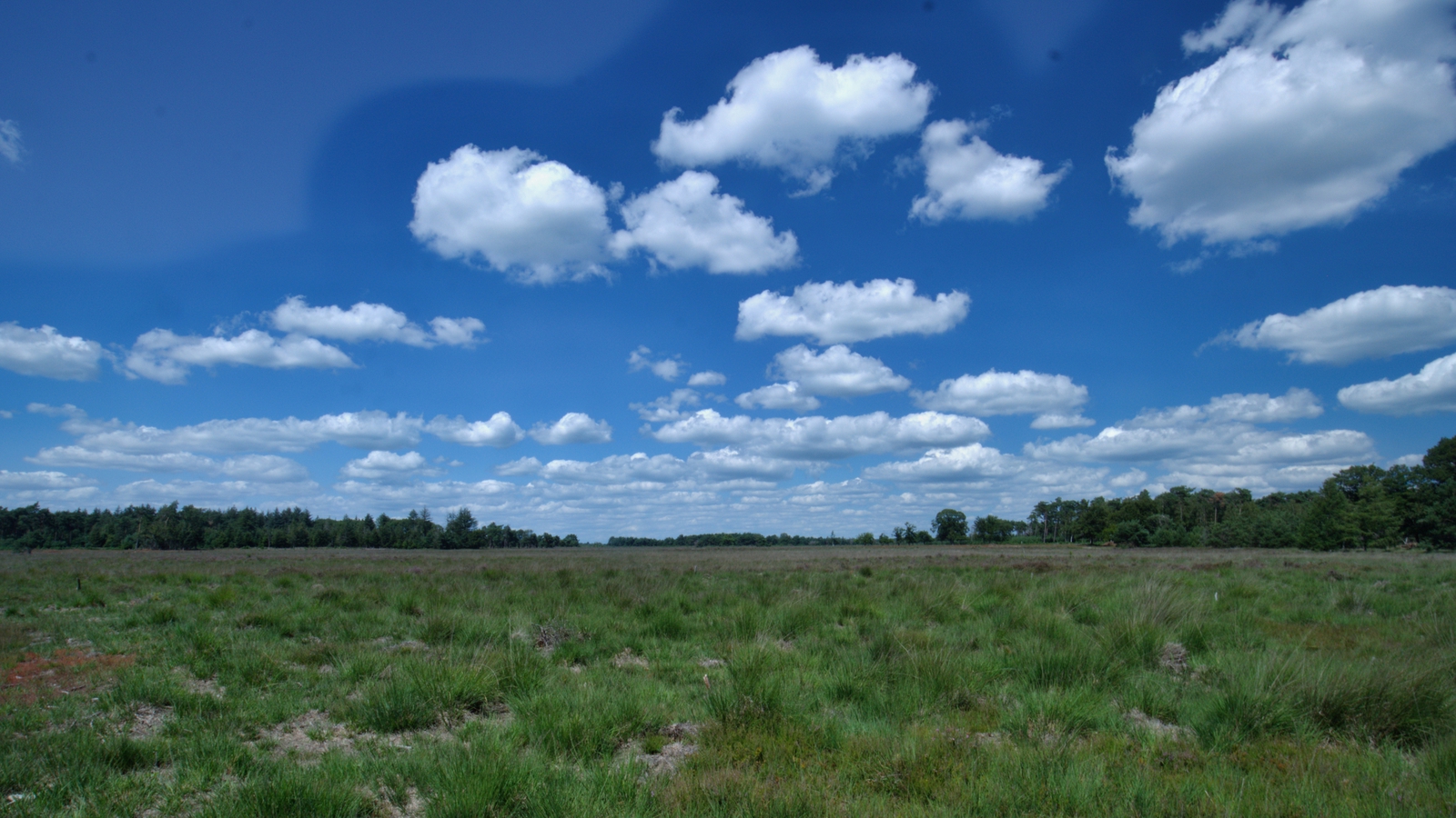 De Strabrechtse Heide