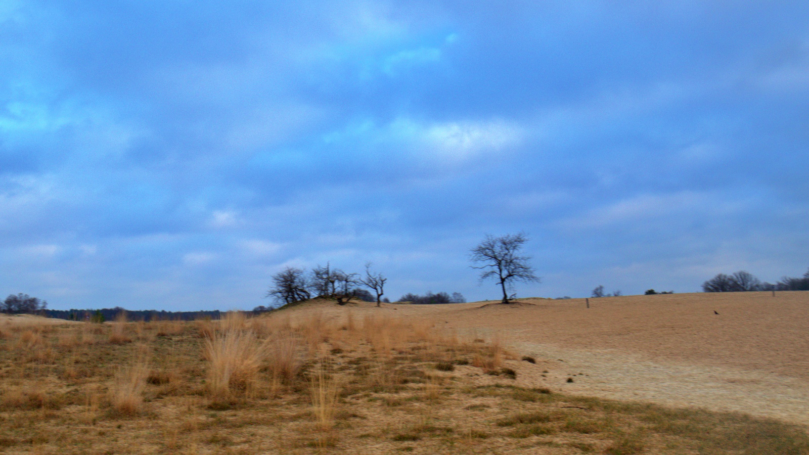 Loonse en Drunenseduinen
