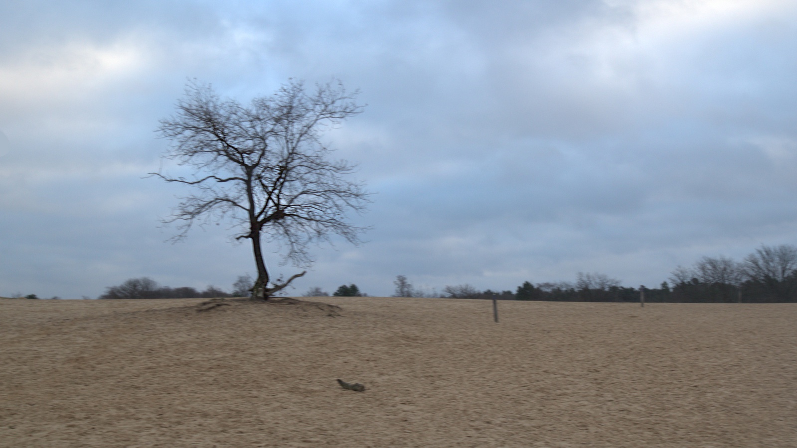 Loonse en Drunenseduinen