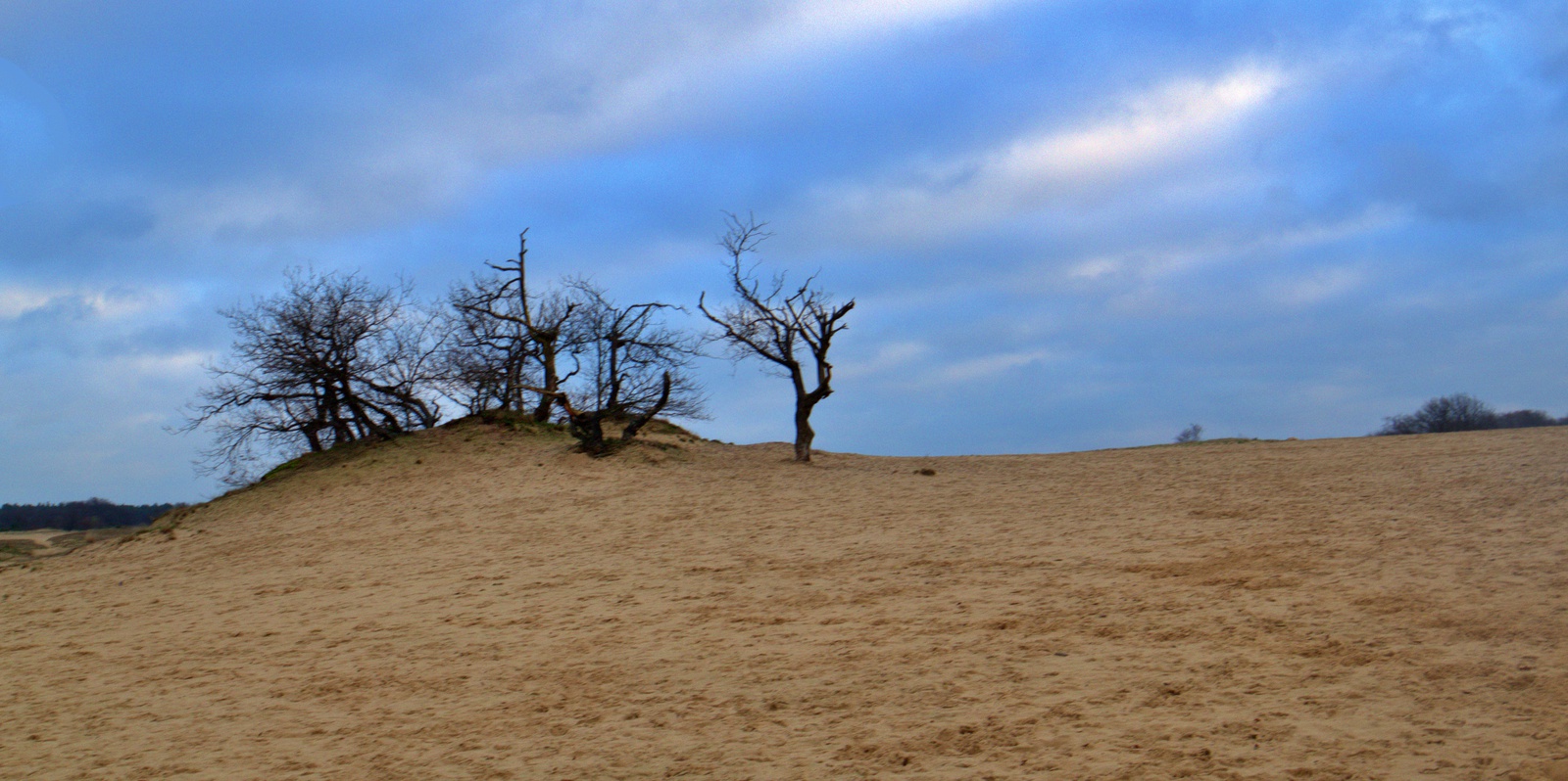 Loonse en Drunenseduinen